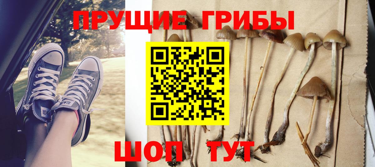 Галлюциногенные грибы Cubensis Шахты