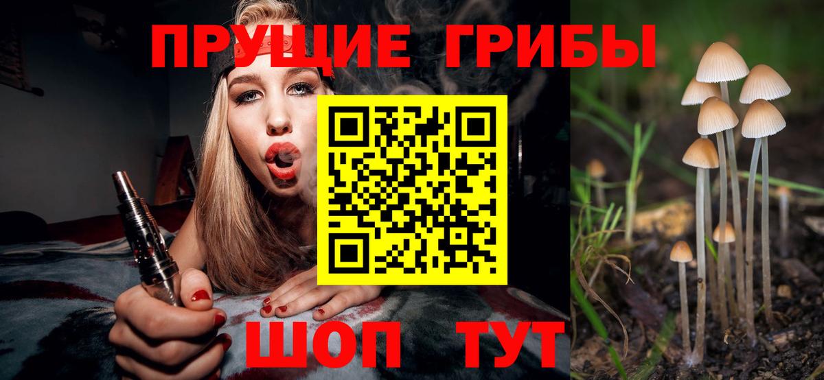 Шахты  Псилоцибиновые грибы мицелий  наркота  Вход с VPN 